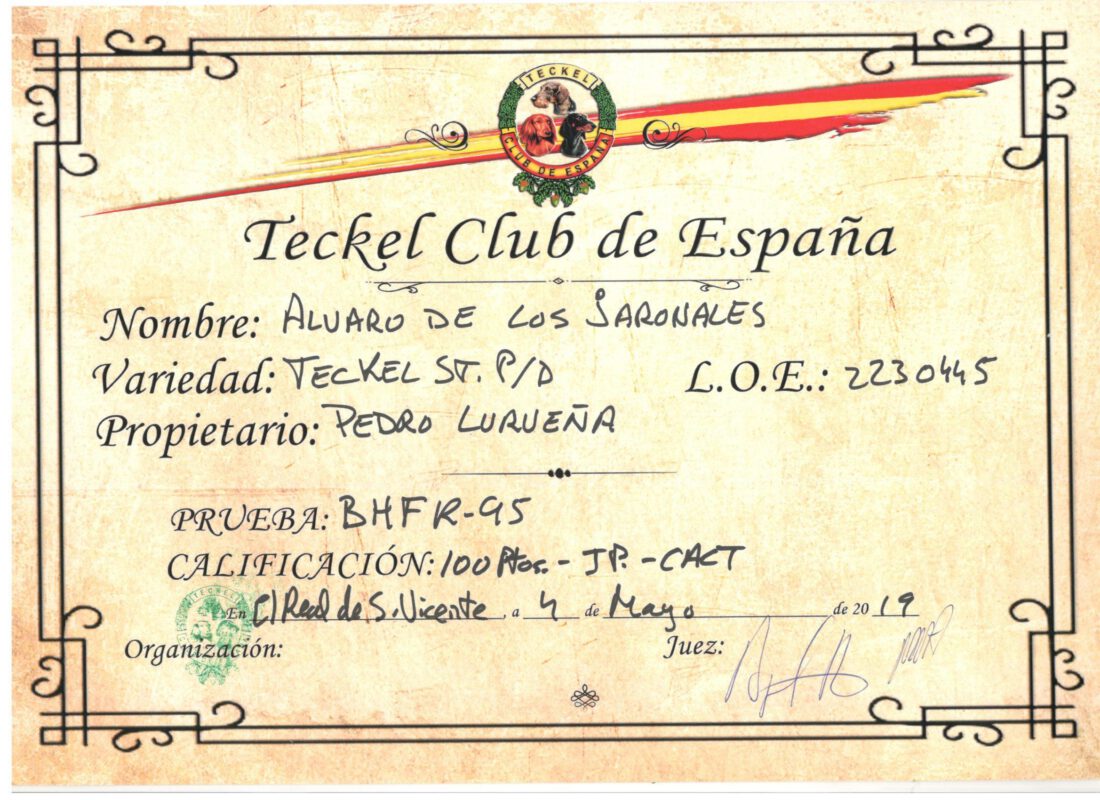 Criadores Teckel Pelo Duro Los Jaronales