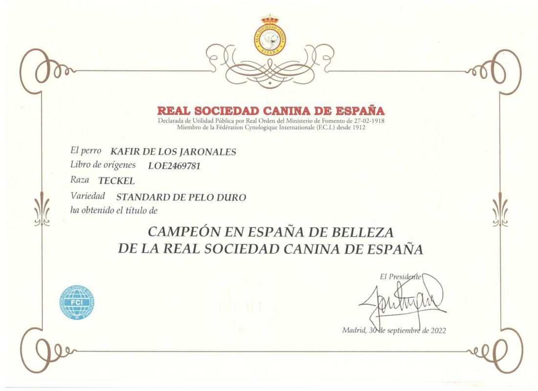 Criadores Teckel Pelo Duro Los Jaronales