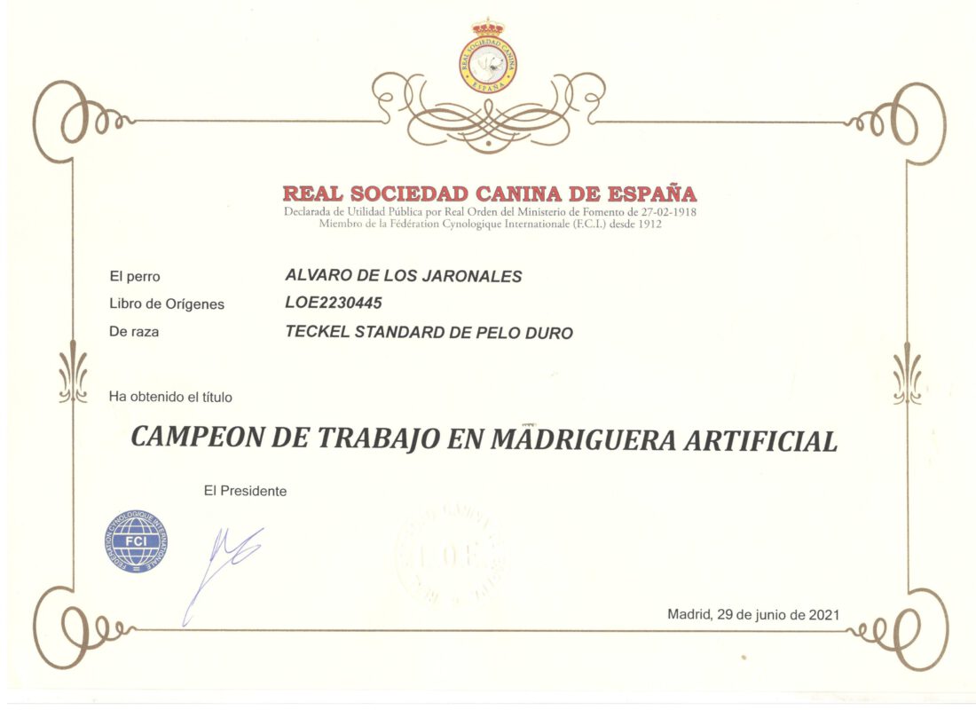 Criadores Teckel Pelo Duro Los Jaronales