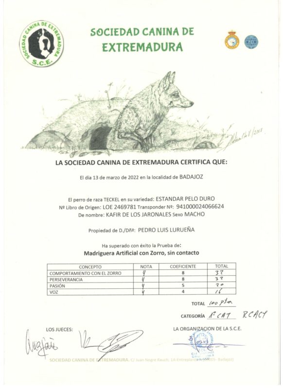 Criadores Teckel Pelo Duro Los Jaronales