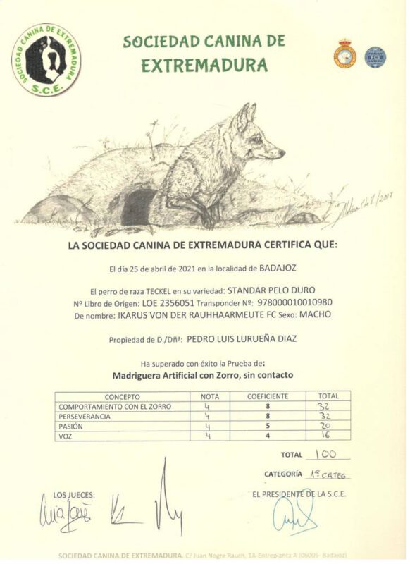 Criadores Teckel Pelo Duro Los Jaronales