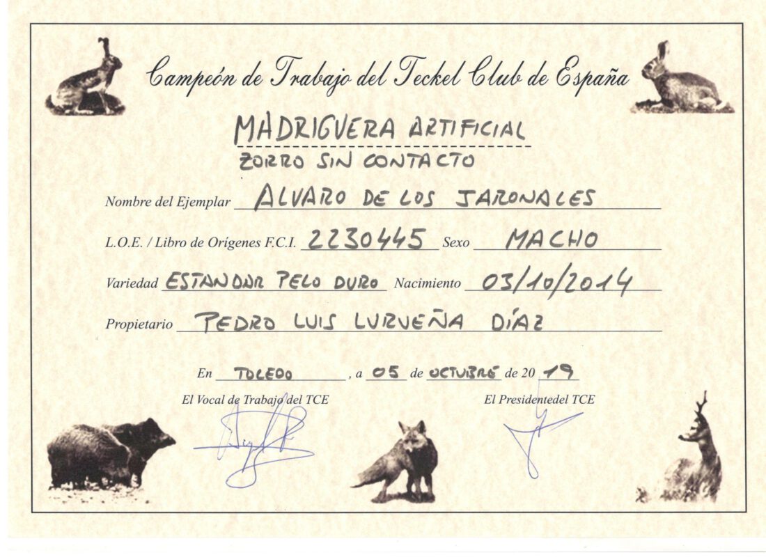 Criadores Teckel Pelo Duro Los Jaronales