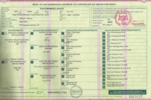 Criadores Teckel Pelo Duro Los Jaronales