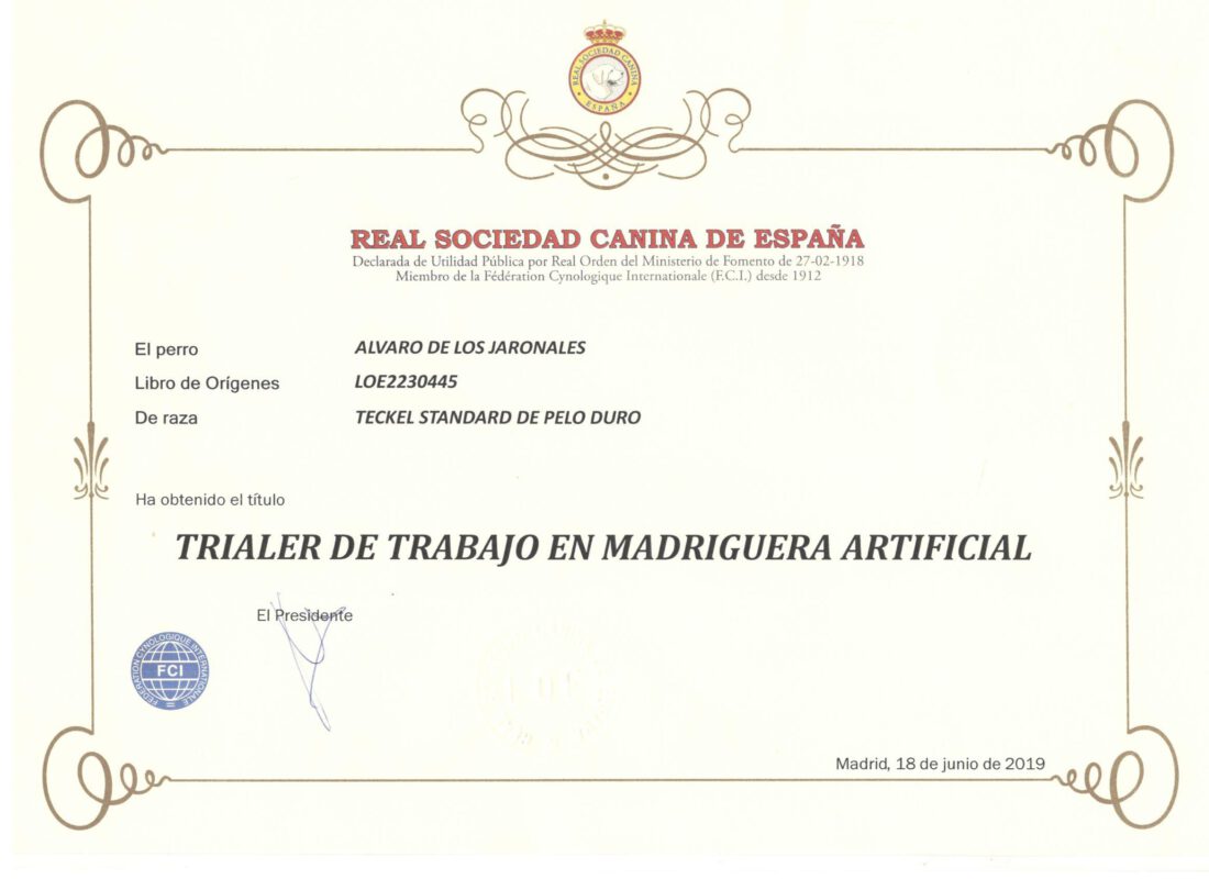 Criadores Teckel Pelo Duro Los Jaronales