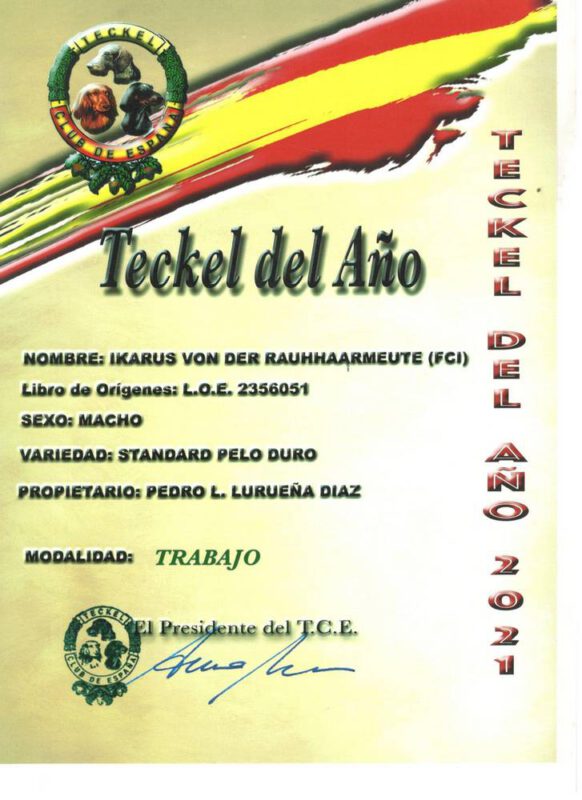 Criadores Teckel Pelo Duro Los Jaronales