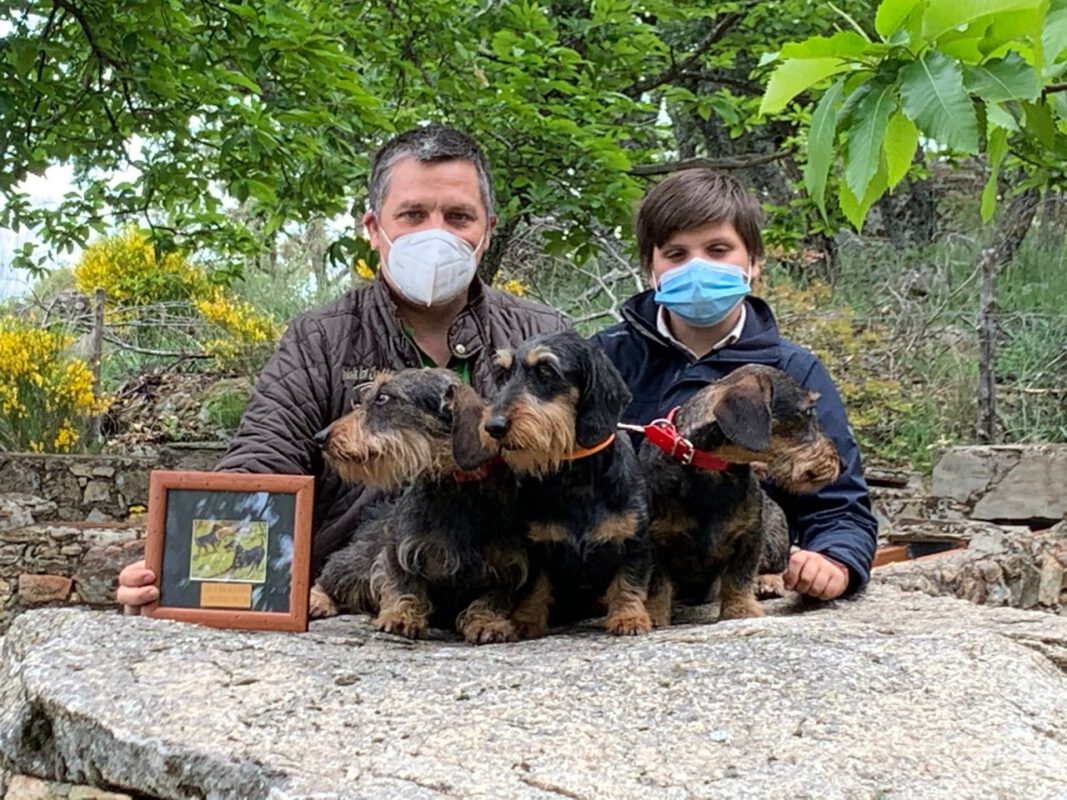 Criadores Teckel Pelo Duro Los Jaronales