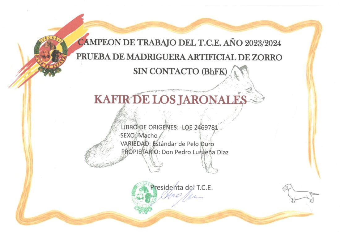Criadores Teckel Pelo Duro Los Jaronales