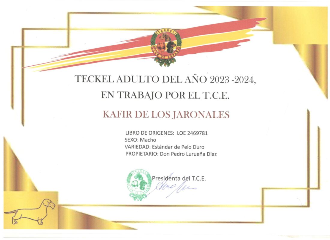 Criadores Teckel Pelo Duro Los Jaronales