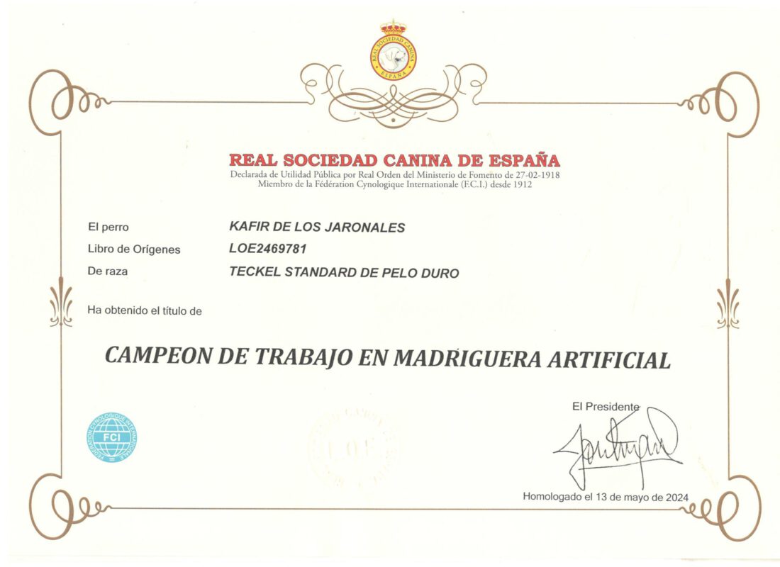 Criadores Teckel Pelo Duro Los Jaronales