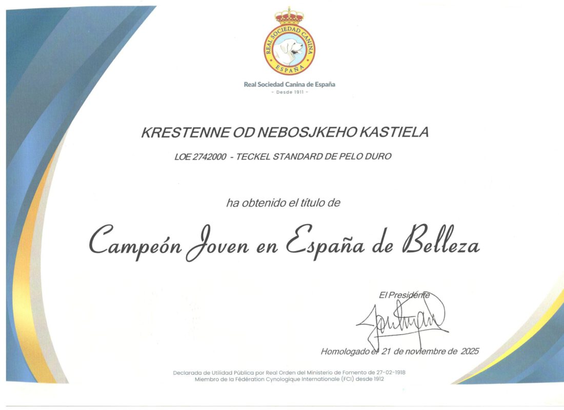 Criadores Teckel Pelo Duro Los Jaronales