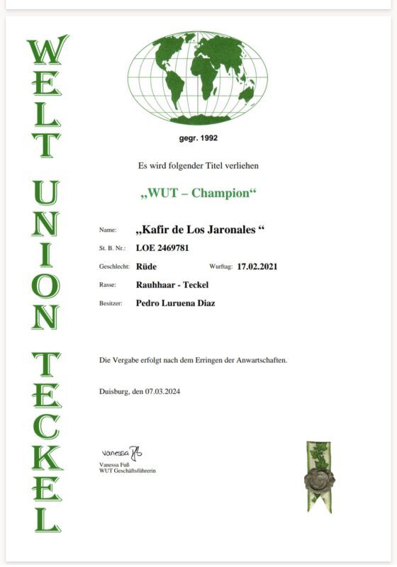 Criadores Teckel Pelo Duro Los Jaronales